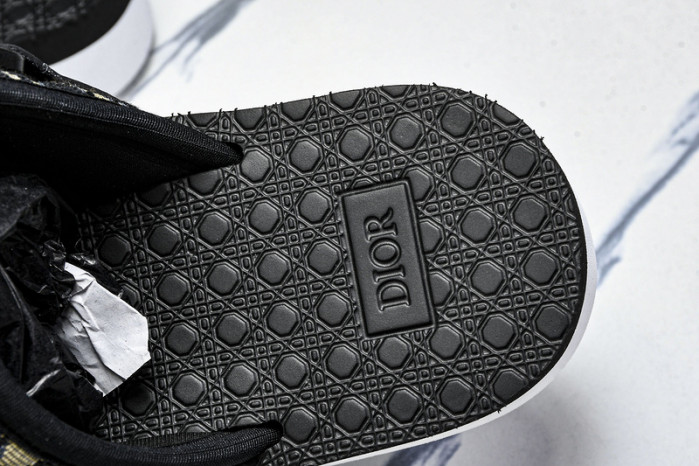 D10r slides ds-063