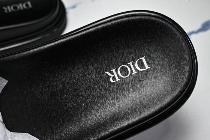 D10r SLIDES DS-094