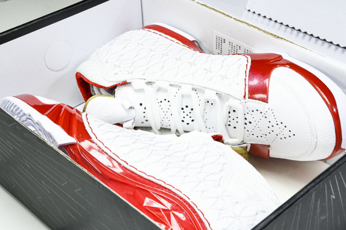 Air Jordan 23