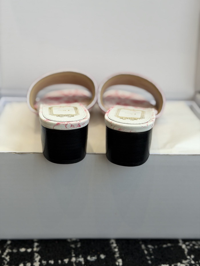 D10r SLIDES DS-0120