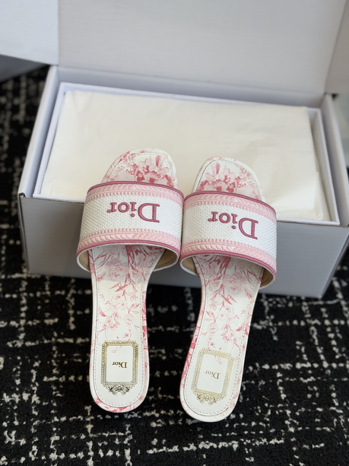 D10r SLIDES DS-0120