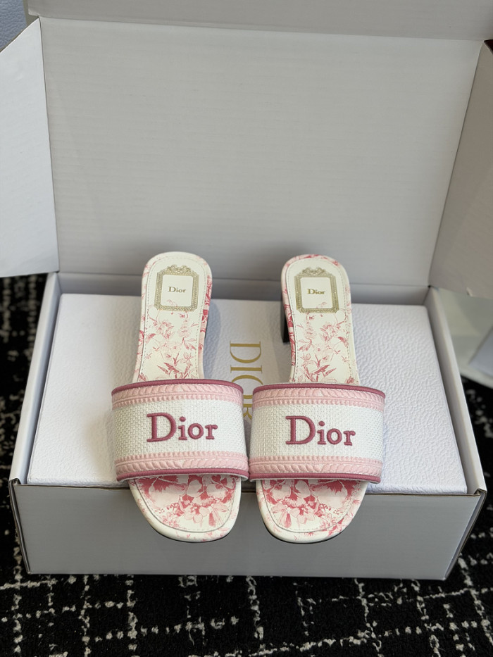 D10r SLIDES DS-0120