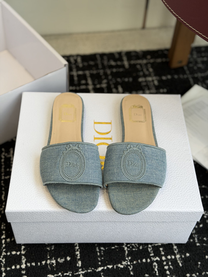 D10r SLIDES DS-0111