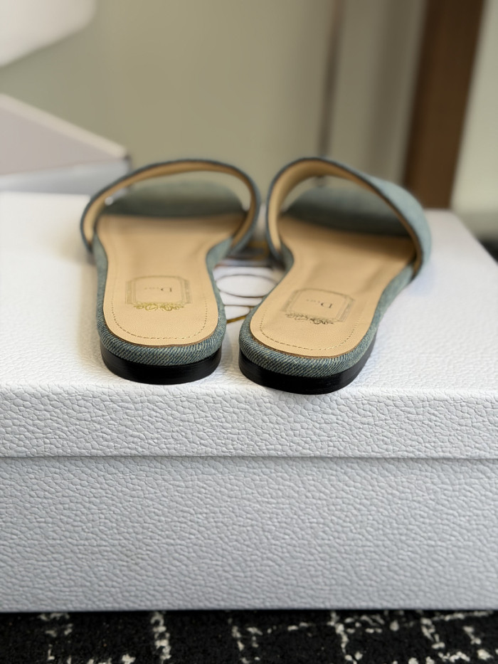 D10r SLIDES DS-0111