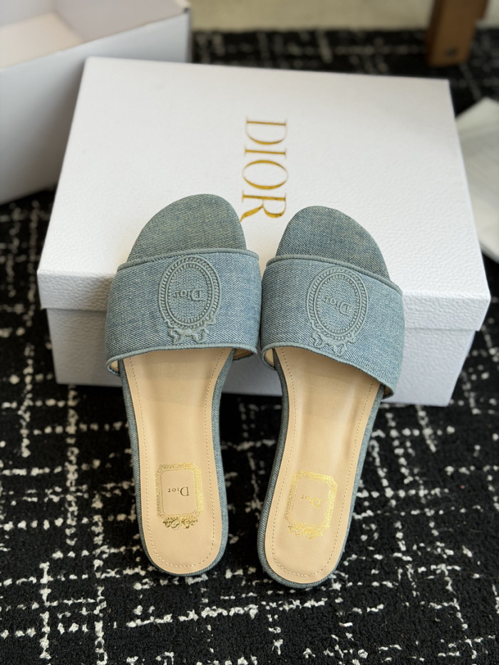 D10r SLIDES DS-0111