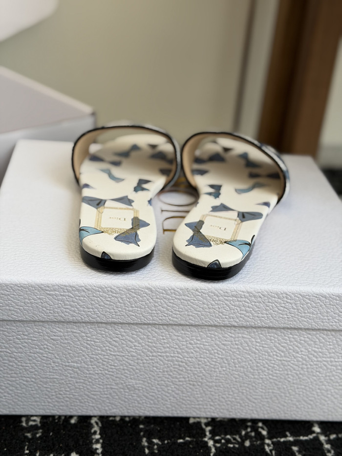D10r SLIDES DS-0117