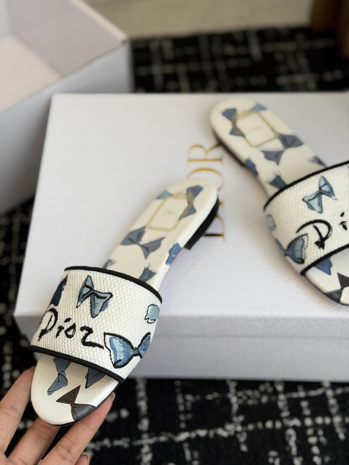 D10r SLIDES DS-0117