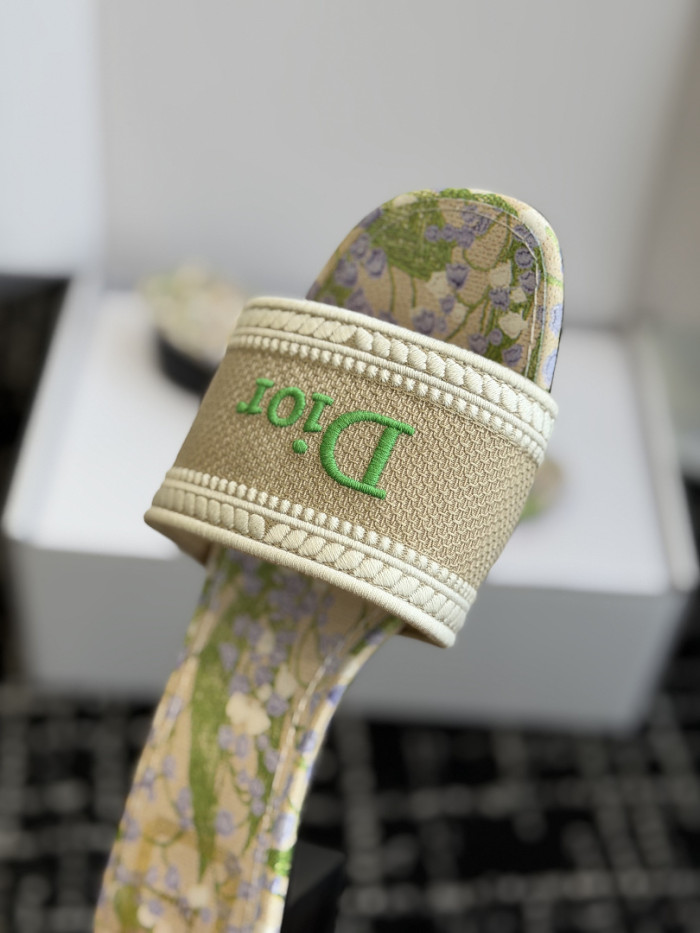 D10r SLIDES DS-0121