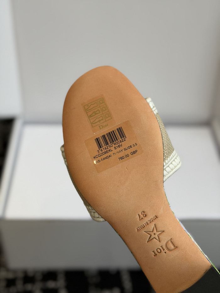 D10r SLIDES DS-0121