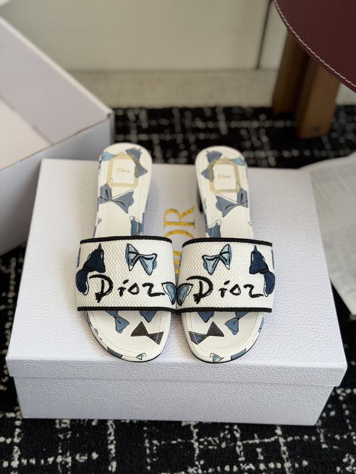 D10r SLIDES DS-0115