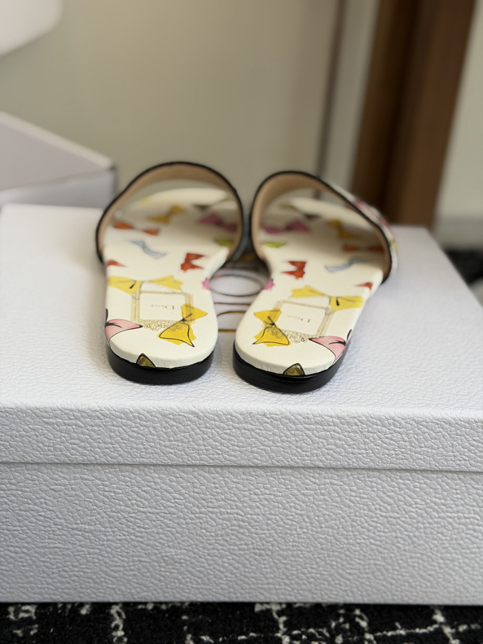 D10r SLIDES DS-0116