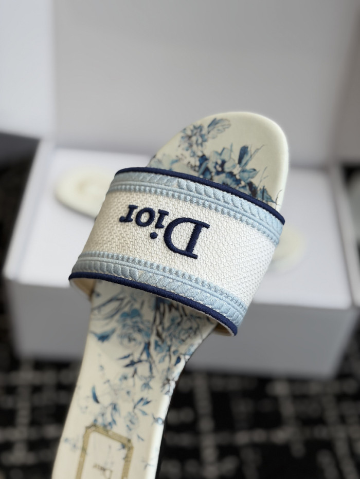D10r SLIDES DS-0127