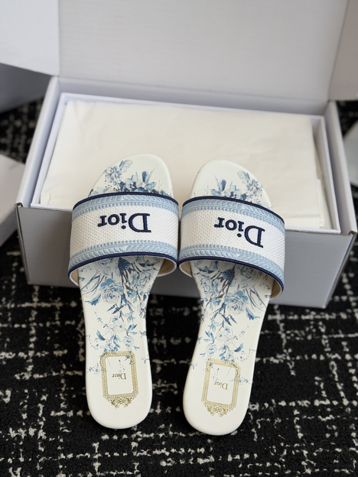 D10r SLIDES DS-0127