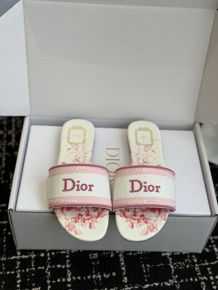 D10r SLIDES DS-0124
