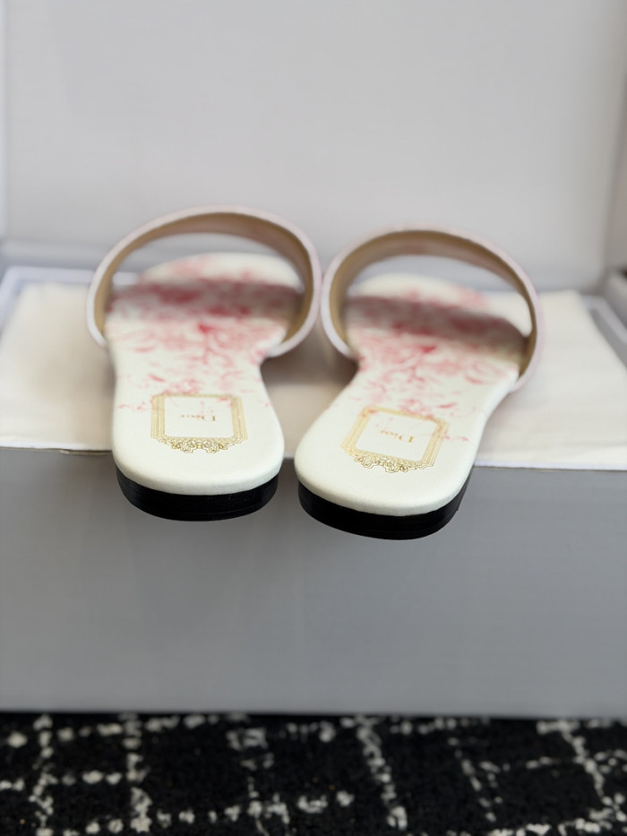 D10r SLIDES DS-0124