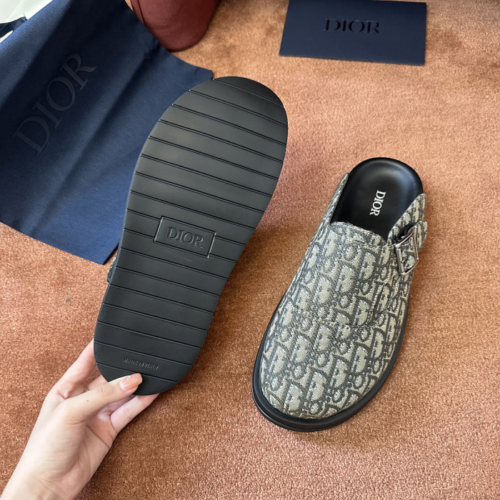D10r SLIDES DS-0160