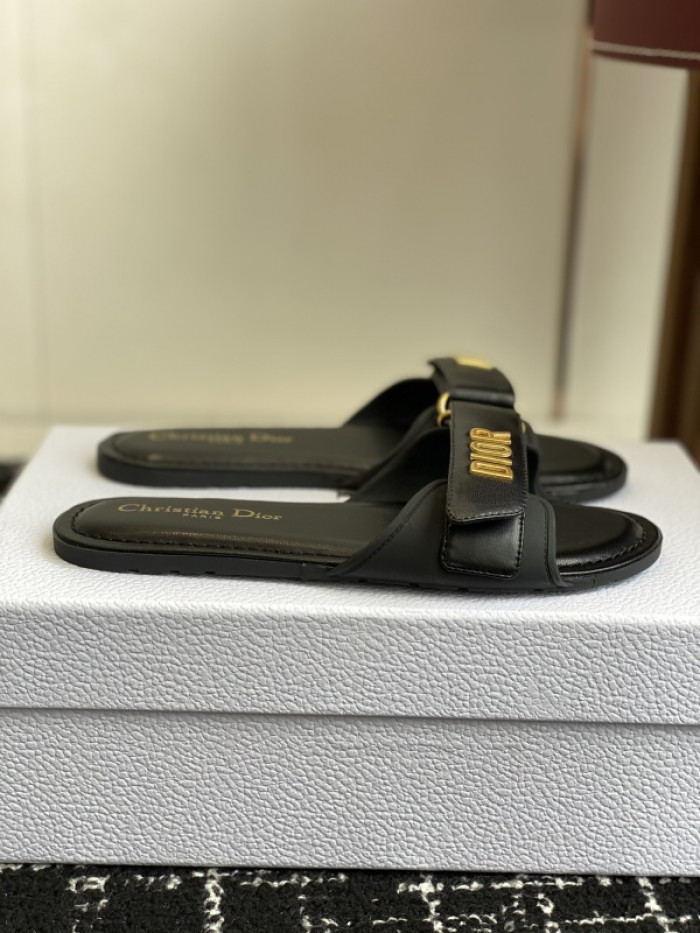 D10r slides ds-082