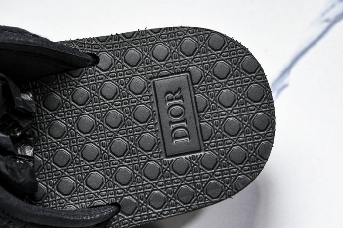 D10r slides ds-065