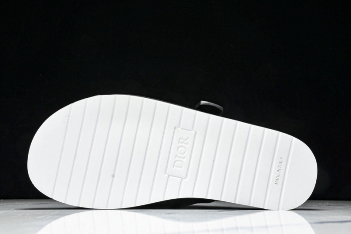 D10r slides ds-066