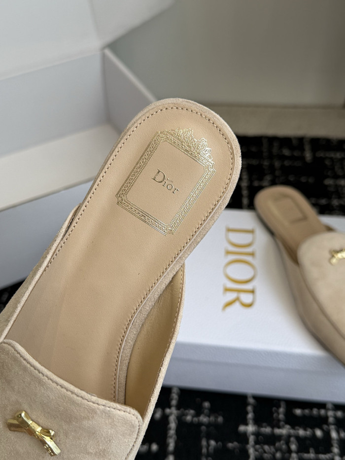 D10r SLIDES DS-0137