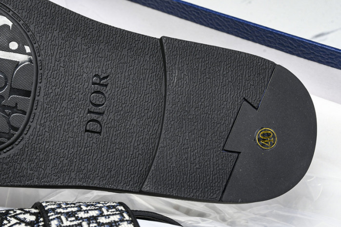 D10r slides ds-061