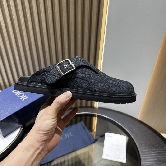 D10r slides ds-071
