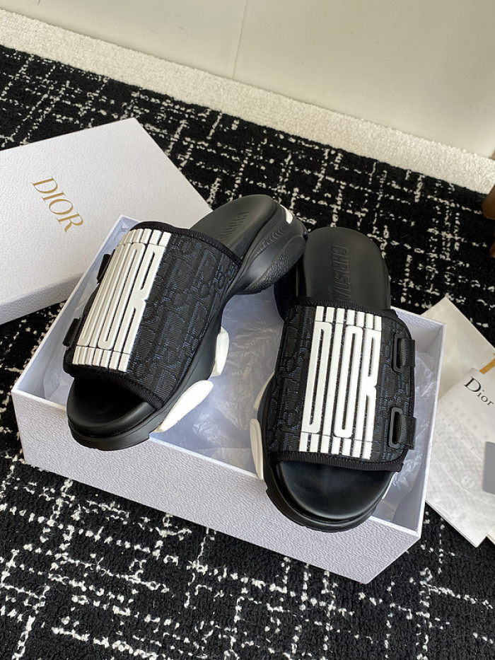 D10r slides ds-067