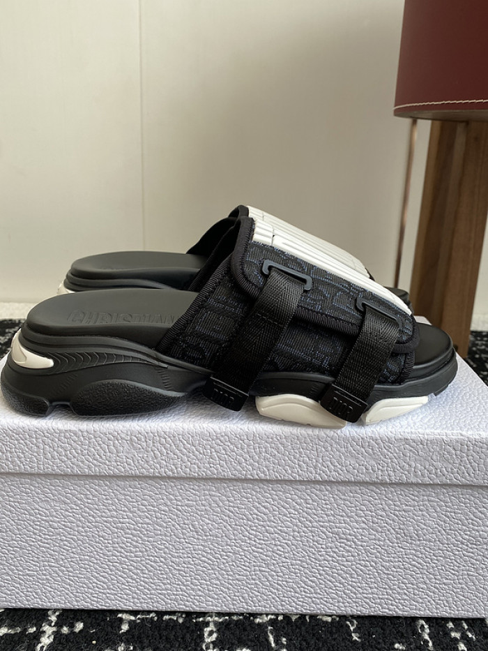 D10r slides ds-067