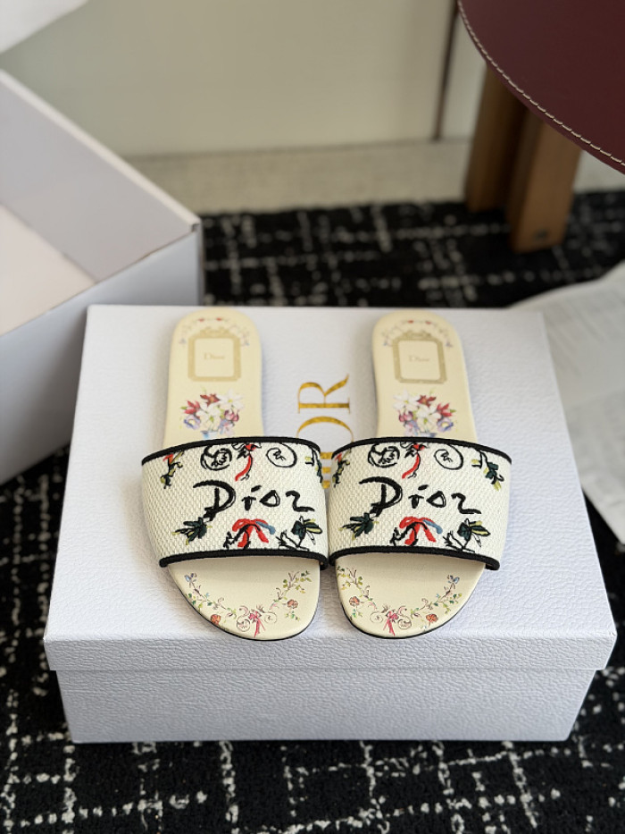 D10r SLIDES DS-0118