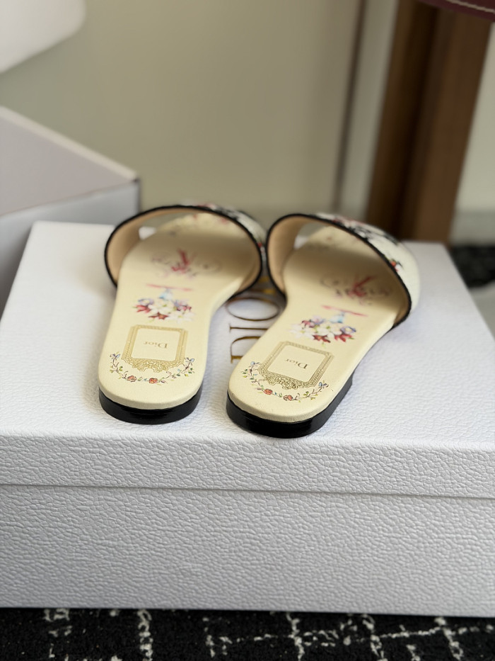 D10r SLIDES DS-0118