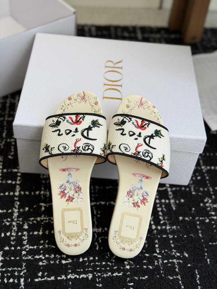 D10r SLIDES DS-0118