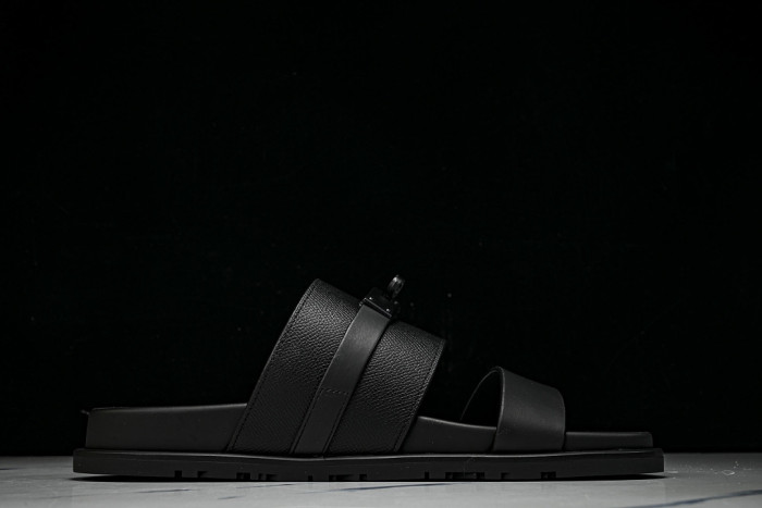 D10r SLIDES DS-095