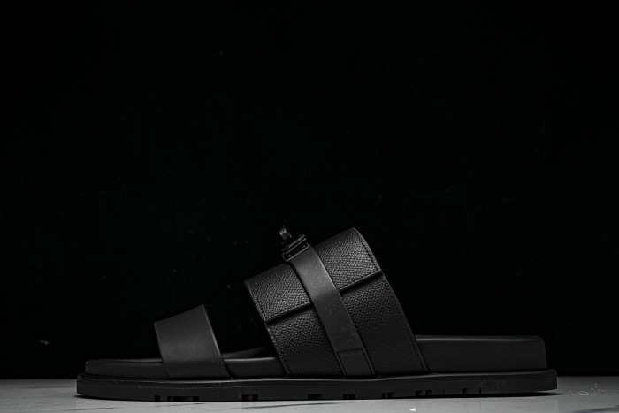 D10r SLIDES DS-095