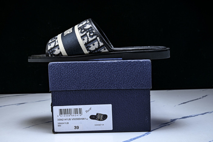 D10r SLIDES DS-0100