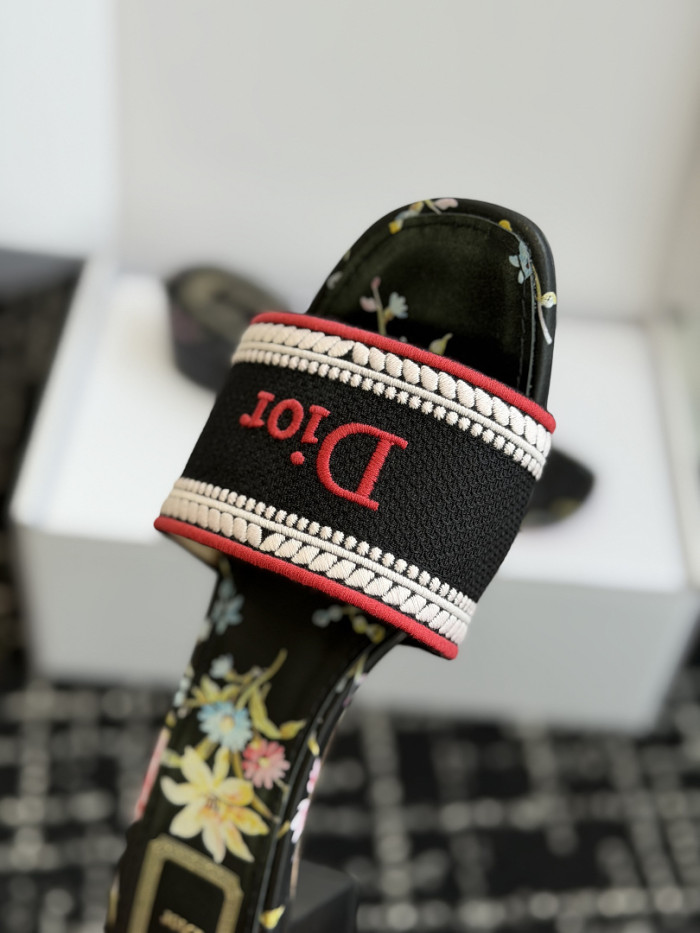D10r SLIDES DS-0123