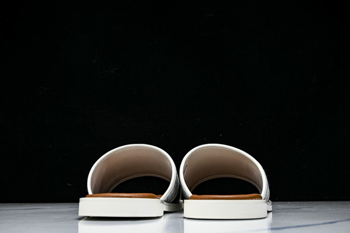 D10r SLIDES DS-099