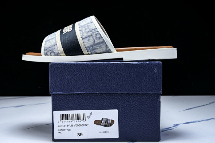 D10r SLIDES DS-099