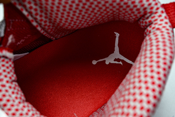 Air Jordan 10 Retro