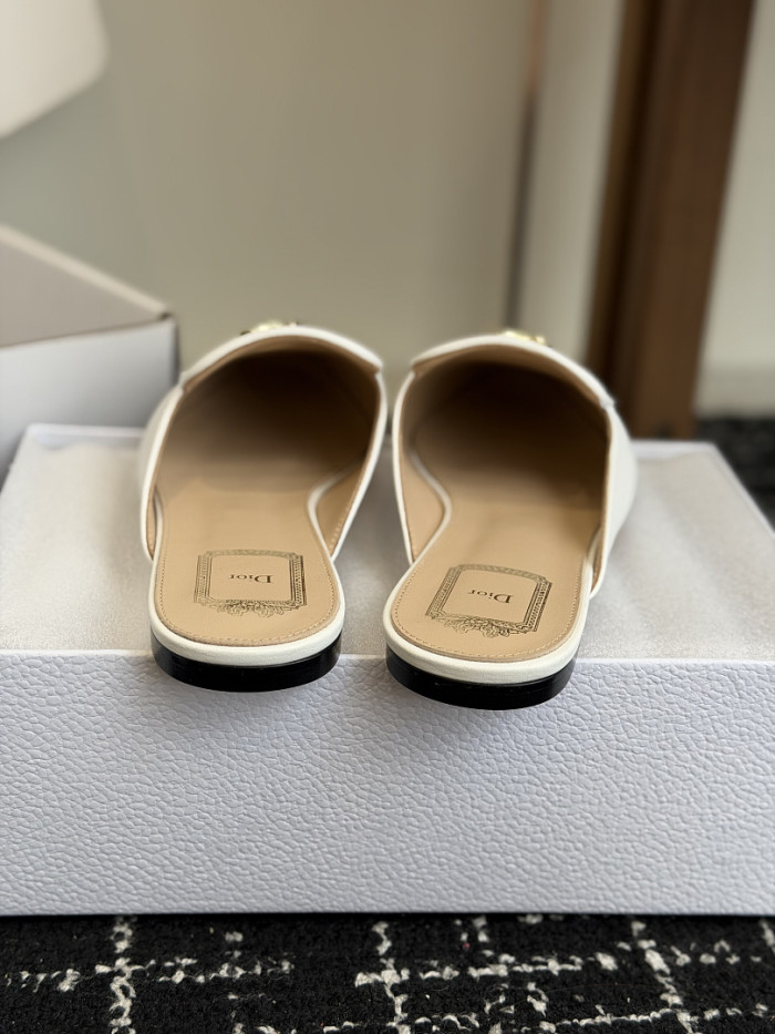 D10r SLIDES DS-0133