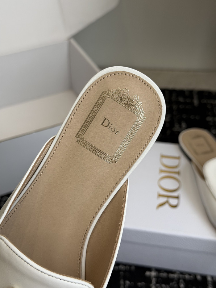 D10r SLIDES DS-0133