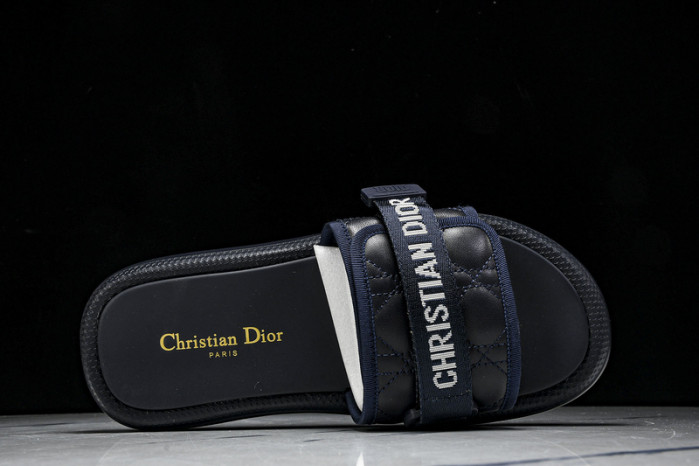 D10r slides ds-080