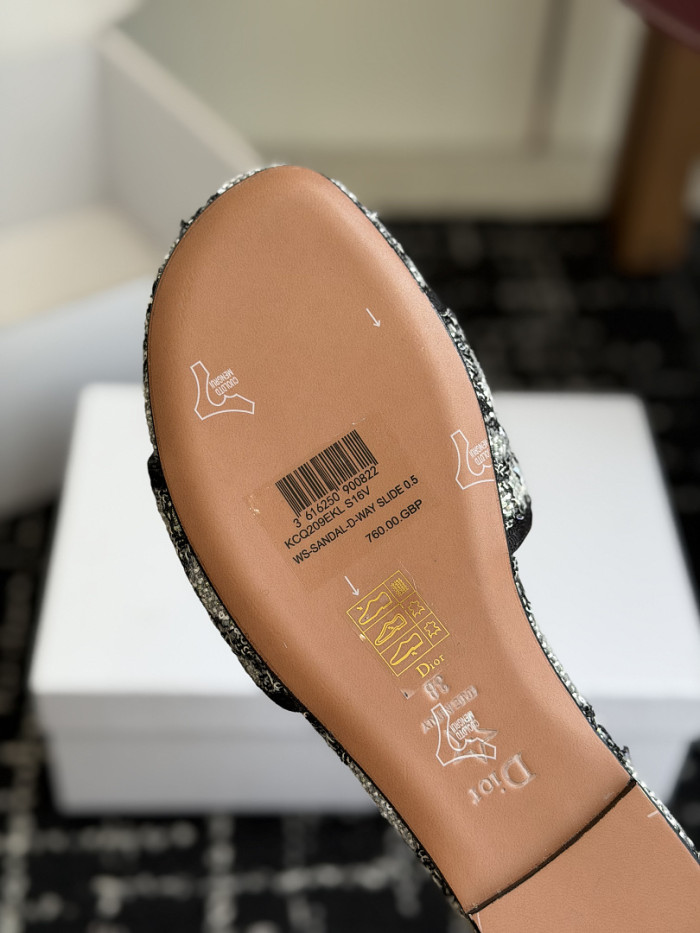 D10r SLIDES DS-0149